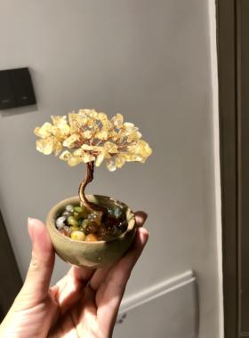 玄关高级聚宝盆小摆件陶瓷底座水晶发财树办公桌面创意手工工艺品