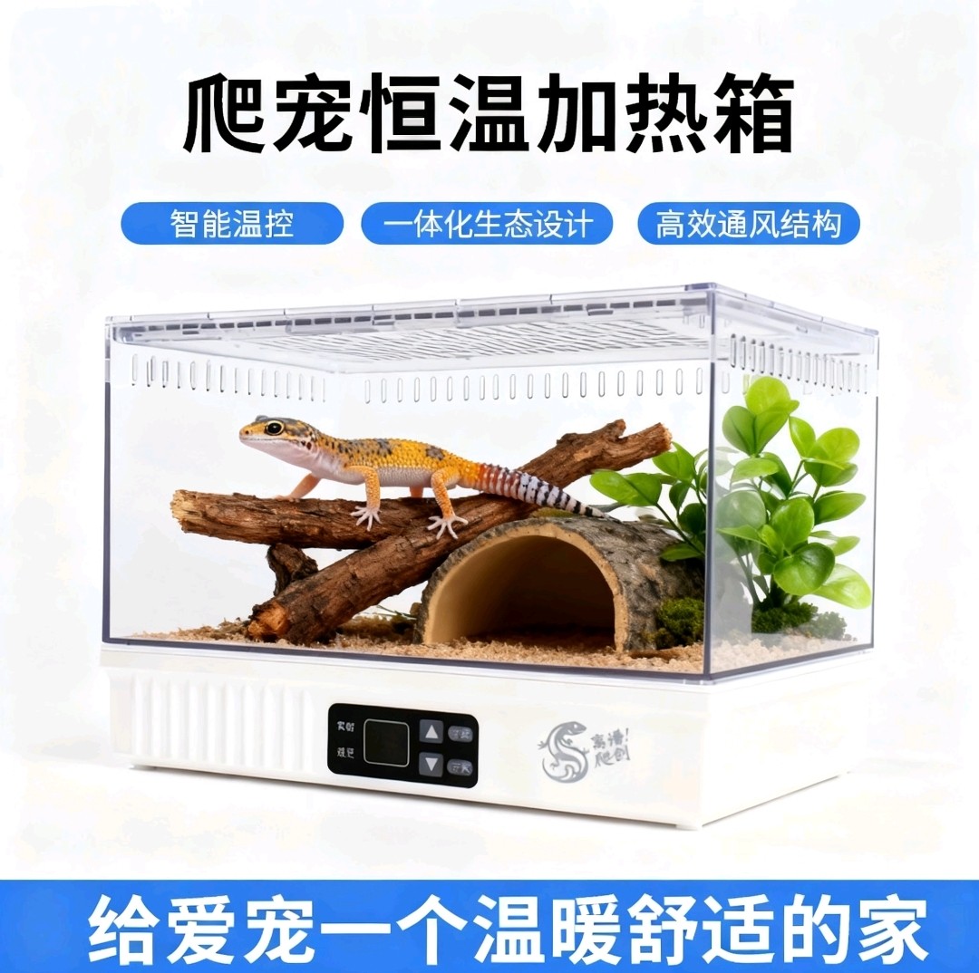 离谱爬创爬宠温控加热恒温饲养箱蜥蜴瘤尾豹纹肥尾守宫蛇蜘蛛造景,淘宝优惠券,粉丝福利购,淘宝优惠卷