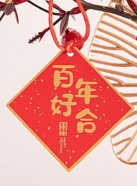 挂树!上的装饰品树枝树干新年挂件布置吊牌盆景桃花银柳小2023过