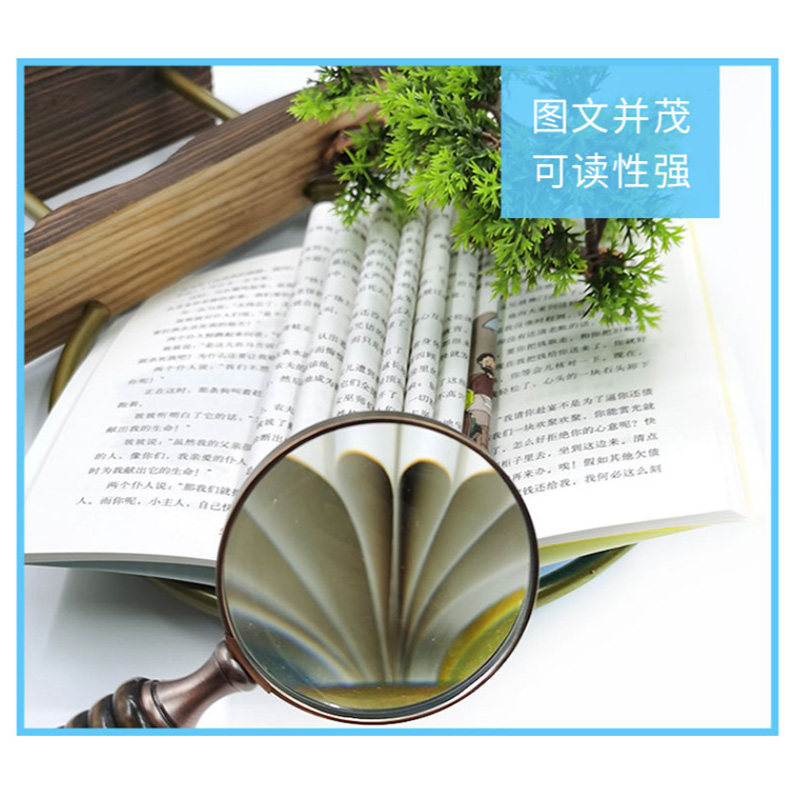 列那狐的故事 快乐读书吧五年级上册彩色注音版世界经典儿童文学