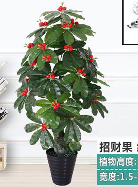假树果树金桔樱桃仿真大树盆栽塑料植物室内装Q饰盆景落地绿植摆