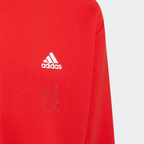 Adidas/阿迪达斯正品新款男童运动宽松连帽半开襟卫衣IP6994 - 图1