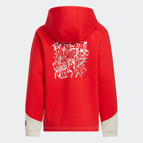 Adidas/阿迪达斯正品新款男童运动宽松连帽半开襟卫衣IP6994 - 图0
