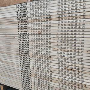 北京ENF级环保兔宝宝实木免漆生态板材全屋定制工厂木工柜子