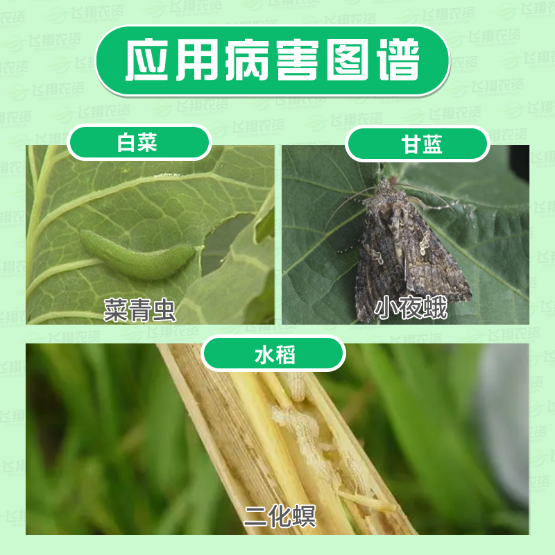 日本住友巴丹98%杀螟丹螟虫甘蓝小菜蛾菜青虫潜叶蛾农药杀虫剂 - 图0