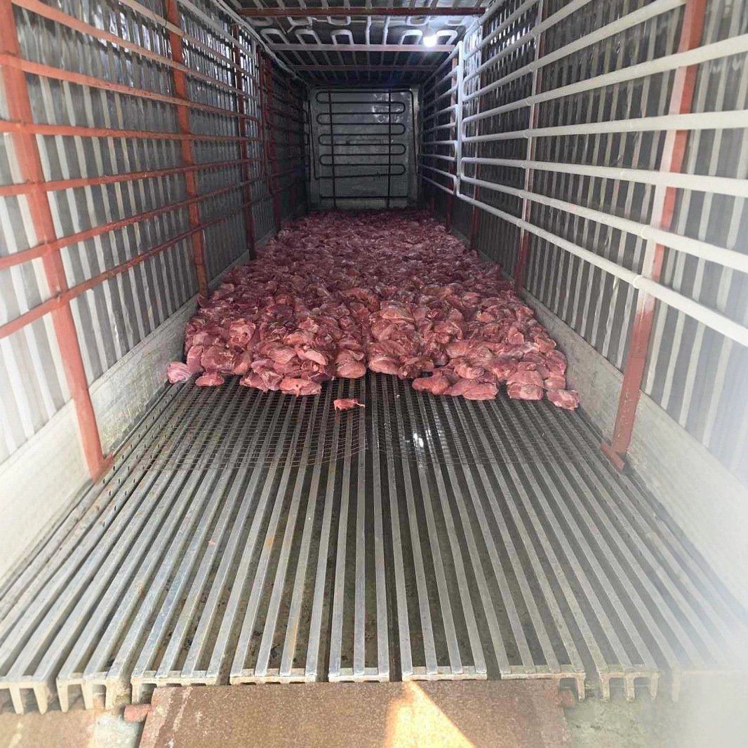 湖北仙桃武汉水果蔬菜保鲜冷库、肉类饮料冷冻库、出租、销售,淘宝优惠券,粉丝福利购,淘宝优惠卷