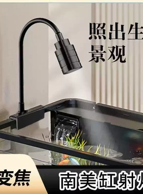可变色三定时迷你鱼缸射灯南美