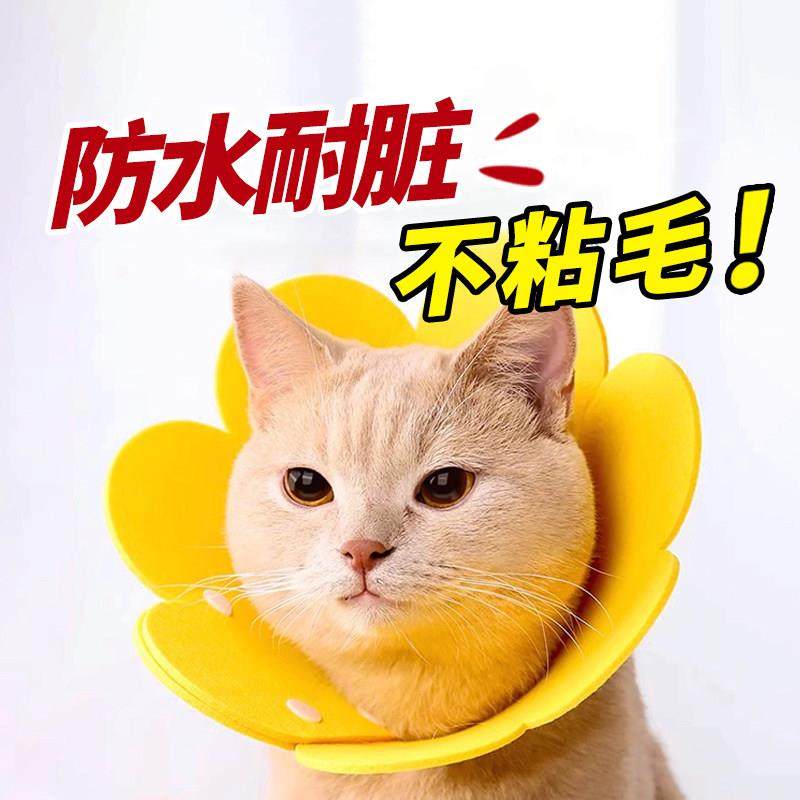 【猫咪伊丽莎白圈】绝育项圈伊利沙白圈防舔颈圈头套狗狗脖圈宠物,淘宝优惠券,粉丝福利购,淘宝优惠卷