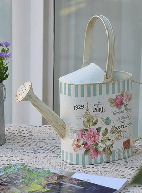 浇水壶法式田园铁艺小洒水壶浇花壶花店橱窗花园庭院杂货装饰摆件