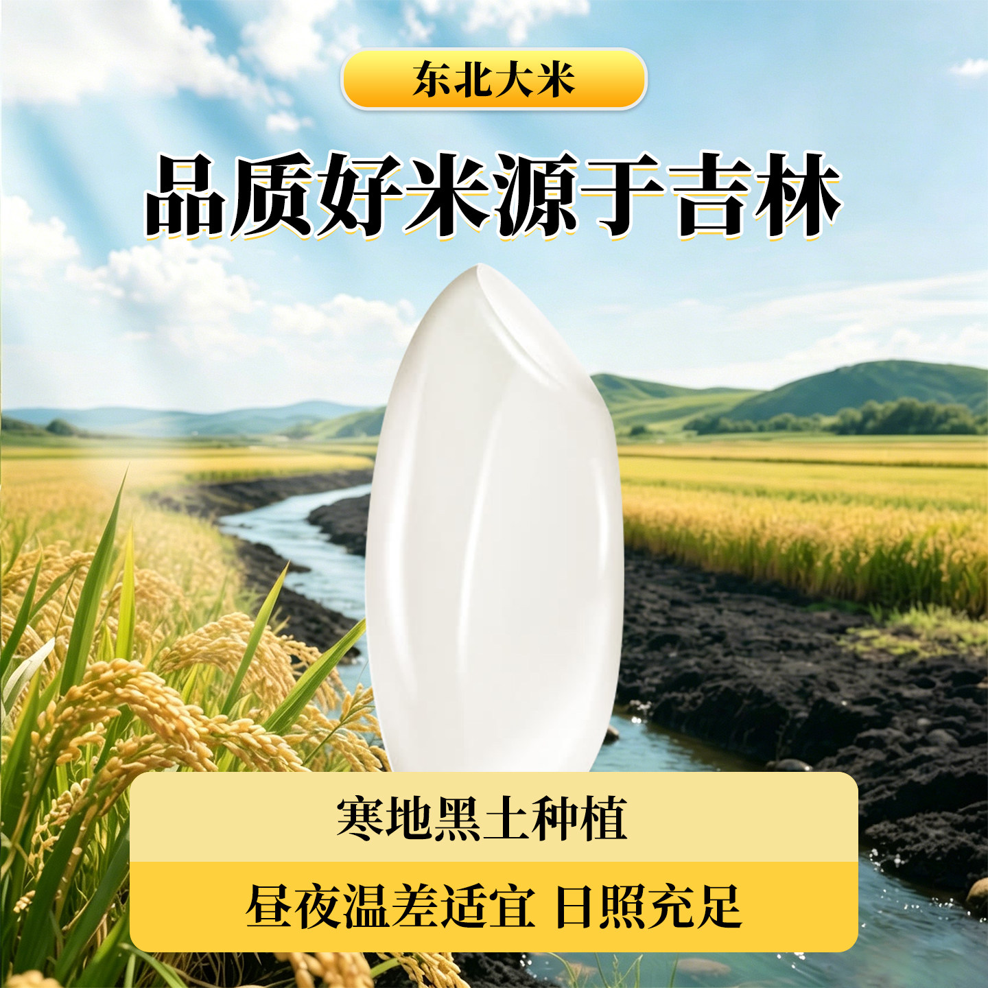 新米东北大米长粒香长白山寒地大米香米非真空包装厂家直销通用