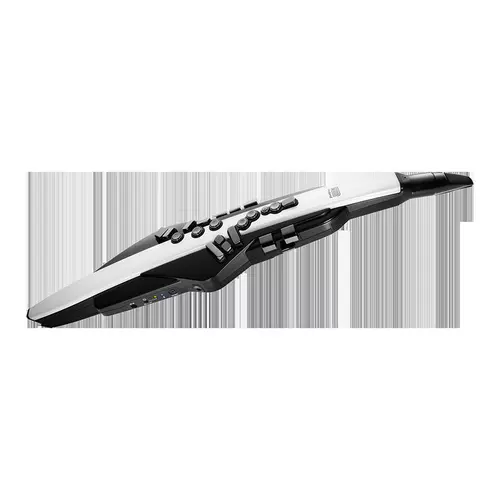 Роланд Роландский трубка для волос музыкальный инструмент AE20A30 Средний и пожилой развлекательный новичок Электронный саксофон