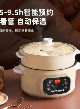 德国多功能电蒸锅双层大容量电火锅可智能预约蒸煮小电煮锅防干烧