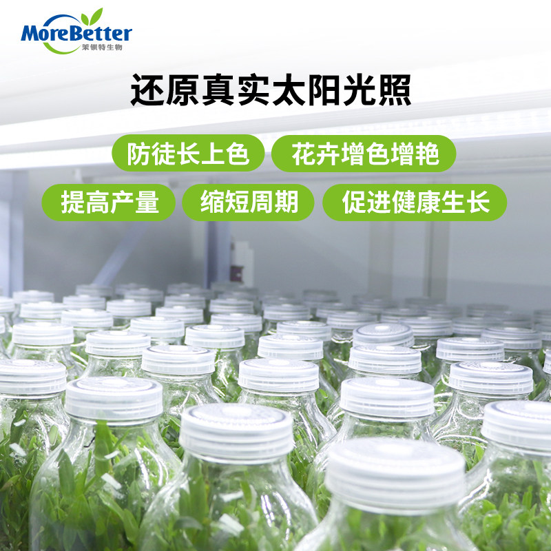 茉钡特 全光谱组培灯植物补光灯t8蔬菜育苗灯led灯多肉上色防徒长,淘宝优惠券,粉丝福利购,淘宝优惠卷