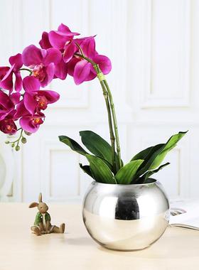 现代电镀银色金色圆球小玻璃球工艺品简约水培玻璃花瓶