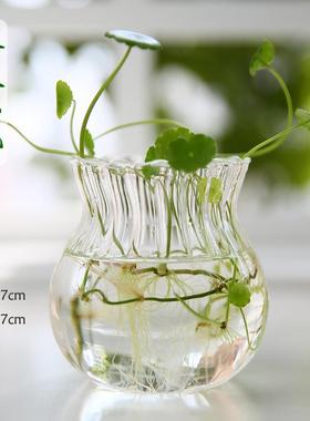手工玻璃花瓶创意客厅摆件插花透明水培花器家居园艺装饰