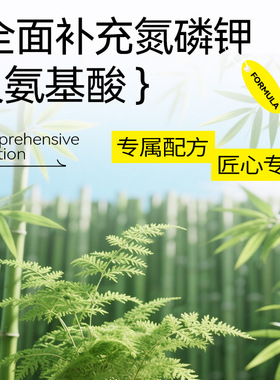 竹子办公室茶室桌面植物营养液竹子盆栽文昌竹楠竹水培营养液花肥