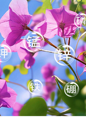艾尚棵三角梅植物浓缩营养液花肥养花专用肥园艺盆栽花卉肥料花草