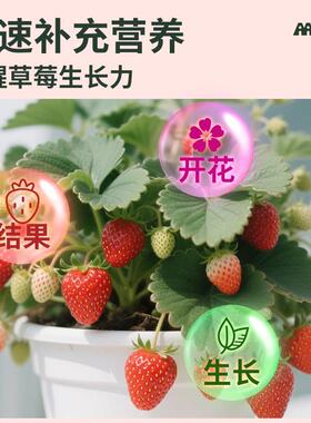 草莓种植专用肥专业调配氮磷钾复合肥料温和不烧苗草莓培育专用肥