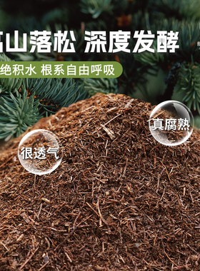 栀子花专用土养花松针腐殖营养土