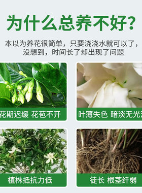 栀子花肥料专用肥喜酸型花肥料盆栽有机肥促花防黄叶代发包邮