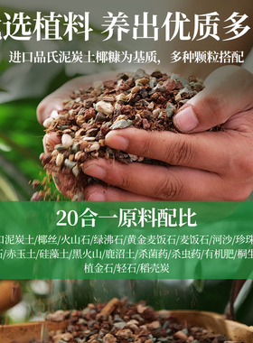 【买五斤送七斤】多肉专用颗粒土营养土种植土疏松透气有机发根土