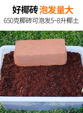 进口低盐椰砖花土营养土通用型家用椰糠养花种菜多肉土兰花专用土