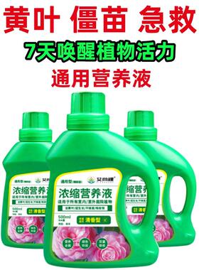植物通用营养液花肥植物活力素发财树黄叶掉叶急救水培绿植营养液