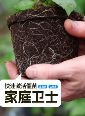 艾尚棵烂根卫士园艺植物营养液浓缩花卉营养液植根卫士氨基酸花肥
