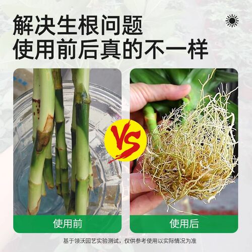 强力生根粉植物通用壮苗生根剂扦插移栽快速生根花肥谷生根液500g - 图2