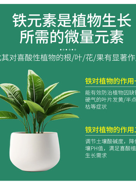 艾尚棵硫酸亚铁酸性肥料防治黄叶促根增亮茉莉花桂花栀子花杜鹃花