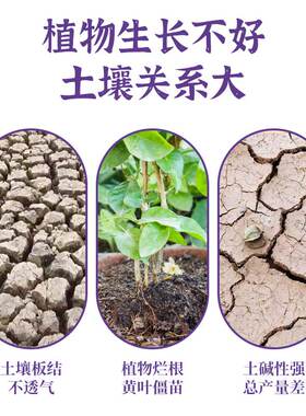 土壤活化剂水溶通用疏松土壤活化宝黑水肥料养花种菜肥改良松土精