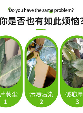 植物营养液室内盆栽绿植除污亮叶剂盆景植物花肥养花通用盆景植物