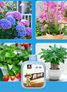 艾尚棵直补肥植物营养液绿植盆栽室内花卉营养液植物通用型叶面肥