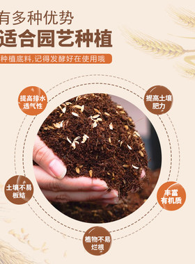 东北稻壳谷壳农家天然腐熟水稻壳枕头芯垫料芦丁鸡发酵床酿酒饲料