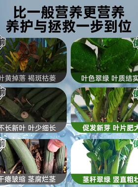 金钱树专用营养液肥料黄叶烂根促生长绿叶生根家用盆栽绿植叶面肥