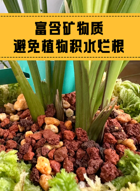 天然红火山石多肉颗粒土水草泥兰花植料铺面石鱼缸底砂滤材火山岩