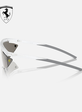 Ferrari24新法拉利太阳眼镜