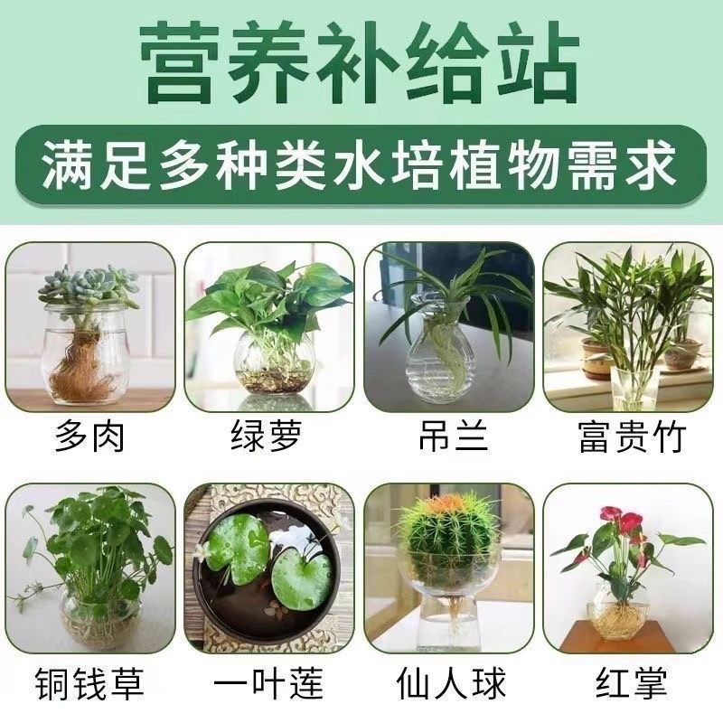 鲜花保鲜消毒片水培植物专用净水片富贵竹碗莲净水保鲜花卉保鲜剂,淘宝优惠券,粉丝福利购,淘宝优惠卷