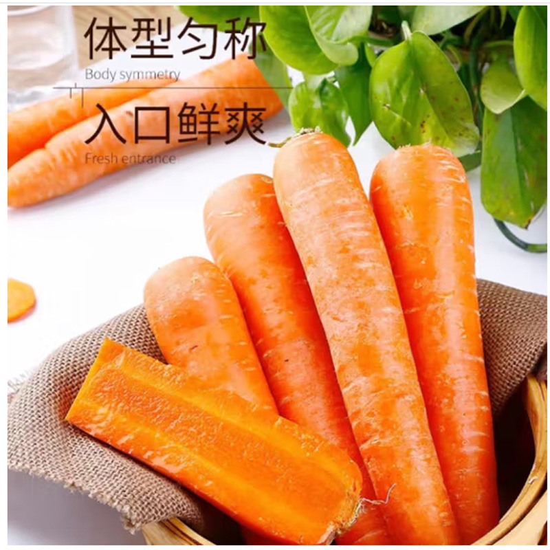 当季沙地胡萝卜大红新鲜萝卜蔬菜红/萝卜时令蔬菜源头直发5斤箱装