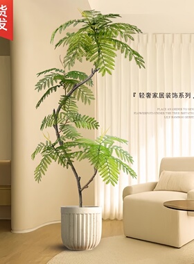 蓝花楹仿真绿植落地盆栽