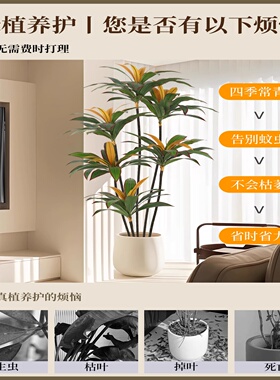 仿真植物红边铁室内客厅大型落地