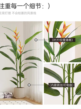 仿真绿植天堂鸟室内客厅装饰