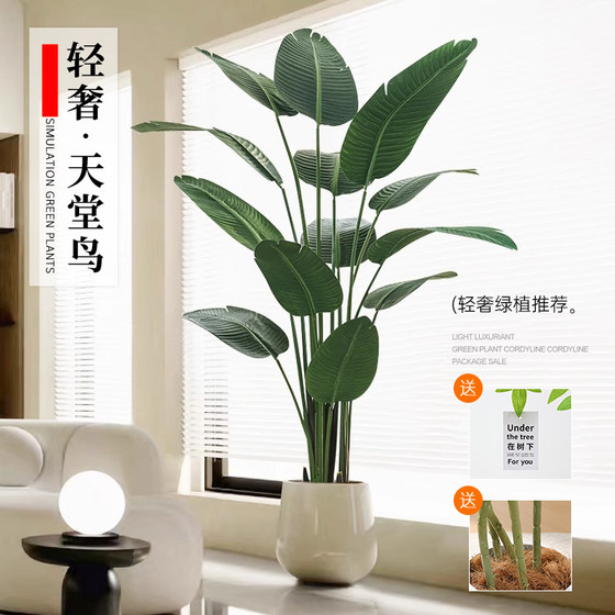 Simulated green plants, fake plants, traveler banana, high-end light luxury