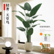 Simulated green plants, fake plants, traveler banana, high-end light luxury