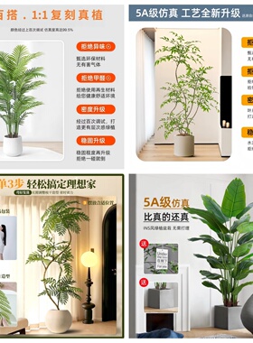 末霓仿真绿植摆件造景无需浇水