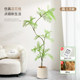 Simulated green plants, high-end light luxury landscaping potted plants