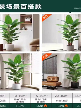 仿真绿植天堂鸟假绿植室内客厅