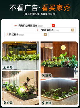 仿真绿植苔藓造景植物室内小景观