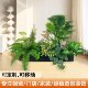 Simulated green plant landscaping combination entrance hall indoor atmosphere