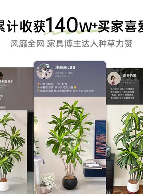 仿真绿植高端轻奢巴西木